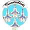 United States Air Force Thunderbirds Logo Pin 1&#x22;